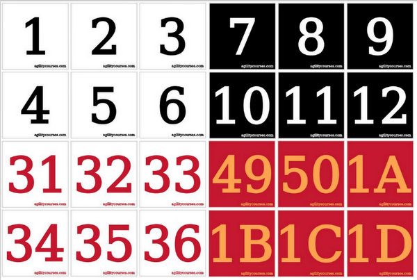 example cone numbers